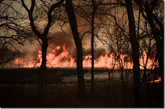 PastureBurn4