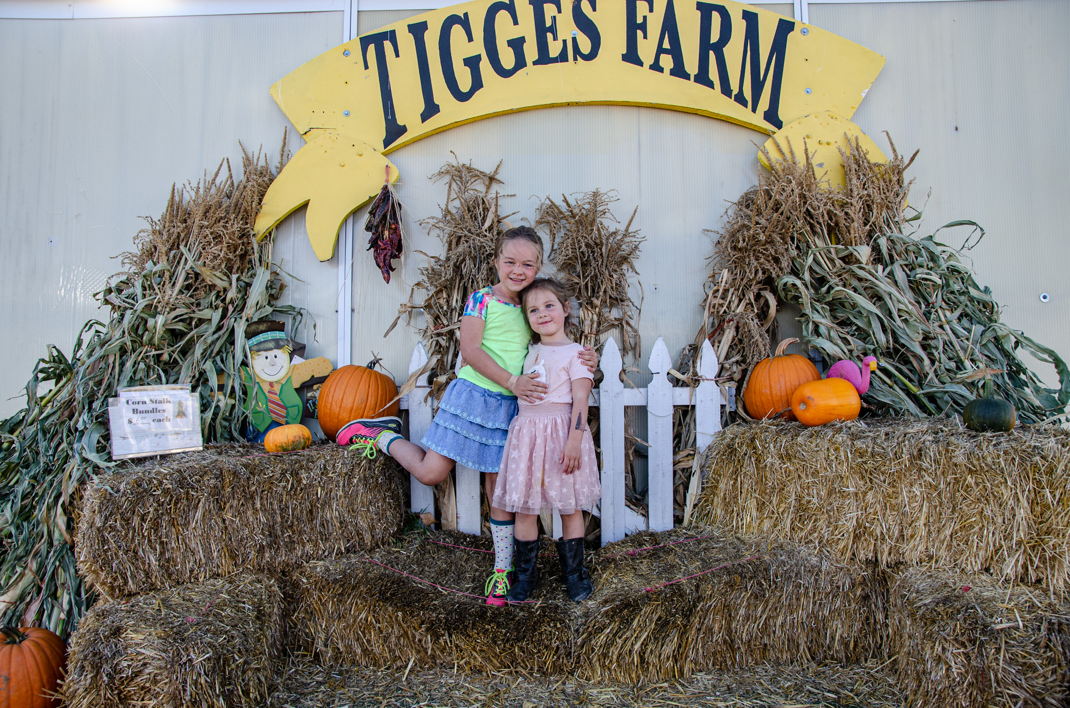 Fun at Tigges Farm