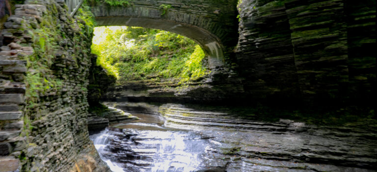 Balderramas Back East – Family Fun and Watkins Glen