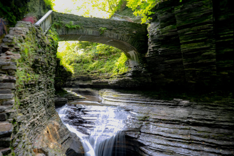 Balderramas Back East – Family Fun and Watkins Glen
